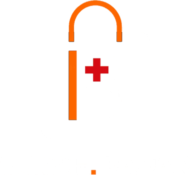 Suisse Bazar Logo